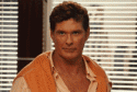 the hoff lol