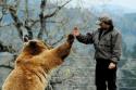 Bear High Five