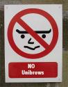 No Unibrows