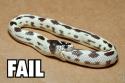 snake fails