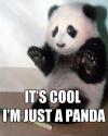 It's cool, I'm a panda