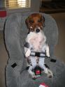 child seat