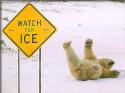 Watch for ice