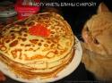 Pancake Cat