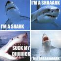 I'm a Shark