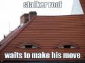 stalker roof