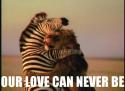 Love can never be