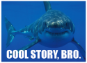 Cool Story Shark