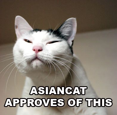 Asian cat