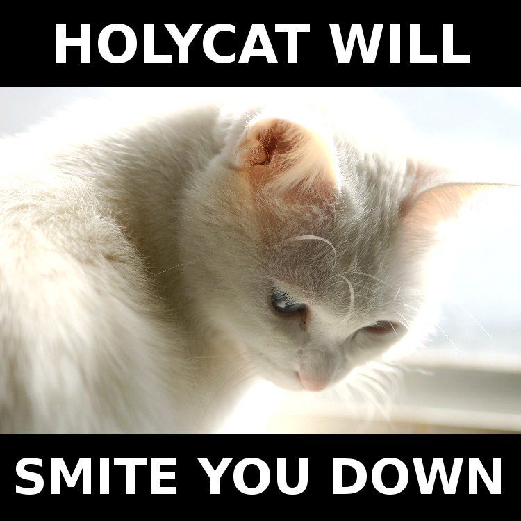 holycat