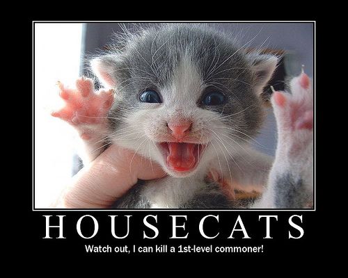 housecats