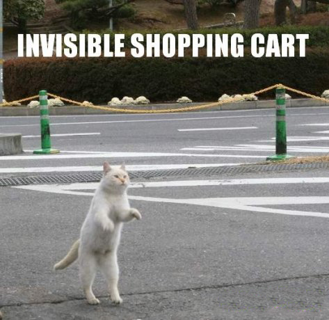 Invisible Cart