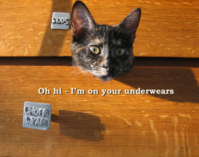 on your underwears