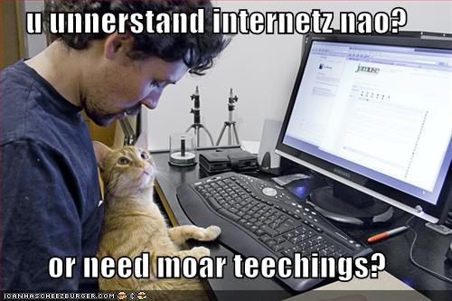 cat teaching the internet