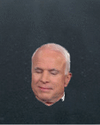 McCain head