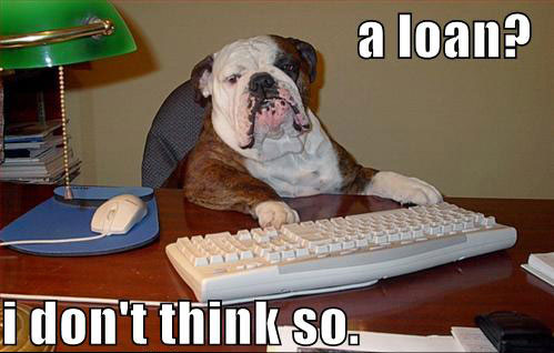 Loan Dog