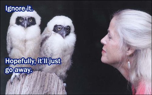 owlsignoreit.jpg