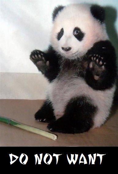 Panda - Do Not Want