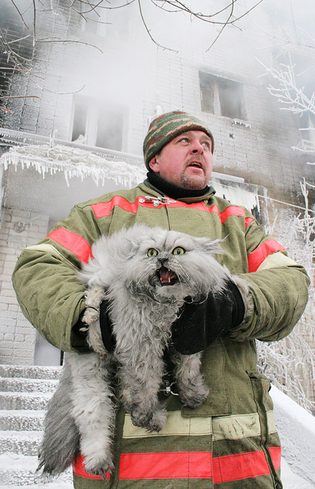 Fireman and cat