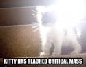 critical mass cat