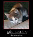 edumacation cat