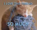 thread cat