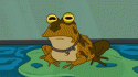 psychedelic frog