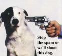 Stop the SPAM or we'll shoot this dog!